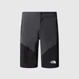 The North Face: Серые шорты 