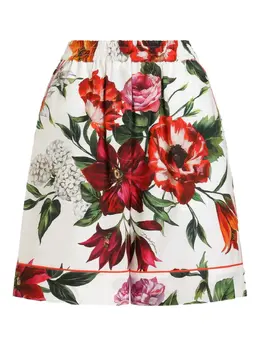 Dolce & Gabbana: Хлопковые шорты 