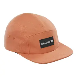 Salomon: Коричневая кепка 