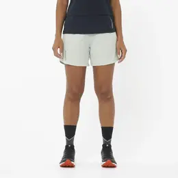 Salomon: Серые шорты 