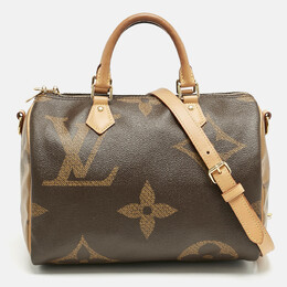 Louis Vuitton: Коричневая сумка  Speedy