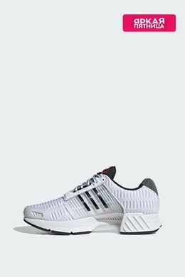 Adidas: Белые кроссовки  Climacool