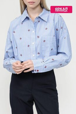 Tommy Hilfiger: Хлопковая рубашка 
