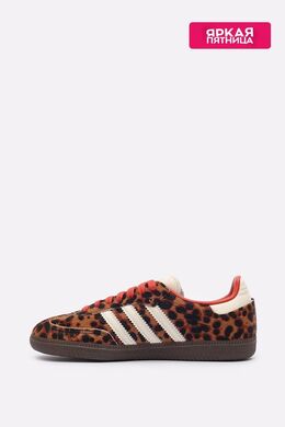 Adidas: Коричневые кроссовки 