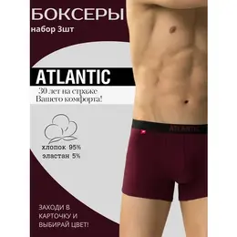 Atlantic: Однотонные трусы 