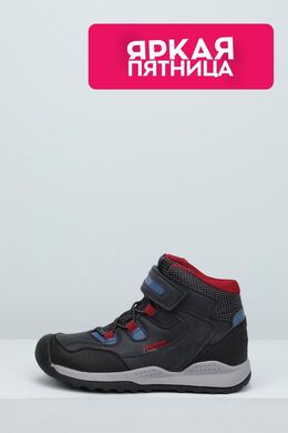 Geox: Ботинки 