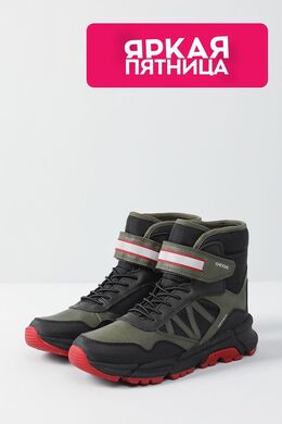 Geox: Ботинки 