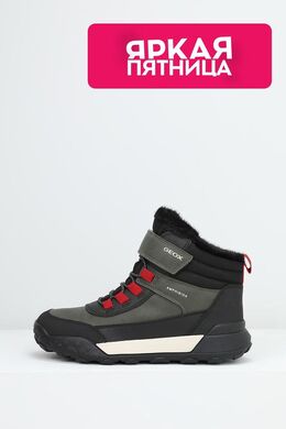 Geox: Ботинки 