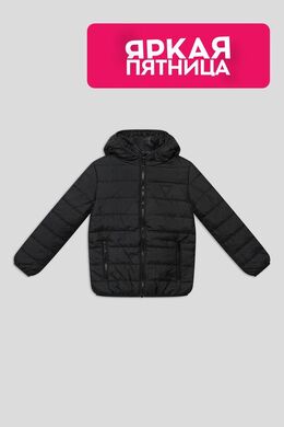Guess: Зимняя куртка 