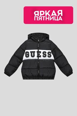Guess: Зимняя куртка 