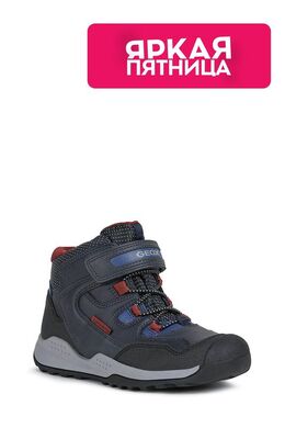 Geox: Ботинки 