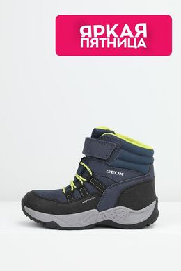 Geox: Ботинки 