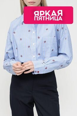 Tommy Hilfiger: Хлопковая рубашка 