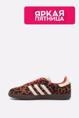 Adidas: Коричневые кроссовки 