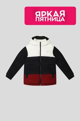 Tommy Hilfiger: Зимняя куртка 