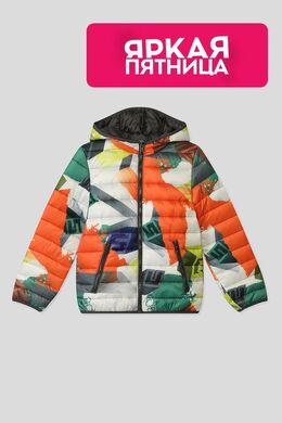 Guess: Зимняя куртка 