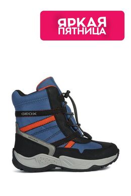 Geox: Сапоги 