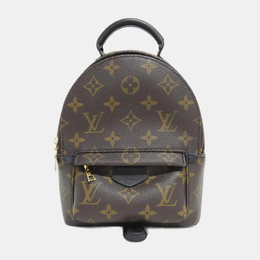 Louis Vuitton: Коричневый рюкзак 
