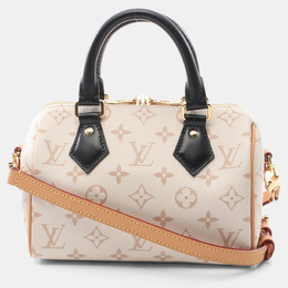 Louis Vuitton: Многоцветная сумка  Speedy