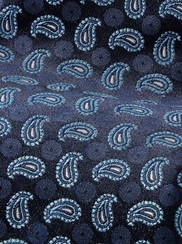 Etro: Галстук 