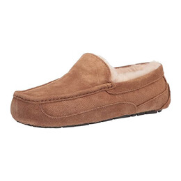 UGG: Коричневые мокасины  Ascot