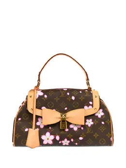 Louis Vuitton Pre-Owned: Сумка с принтом 