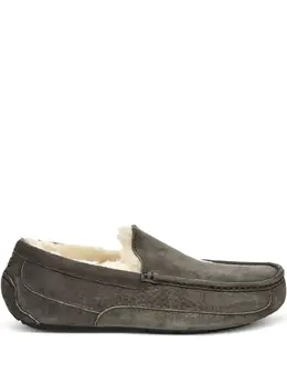 UGG: Туфли  Ascot