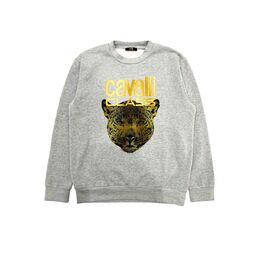 cavalli CLASS: Серый свитер 