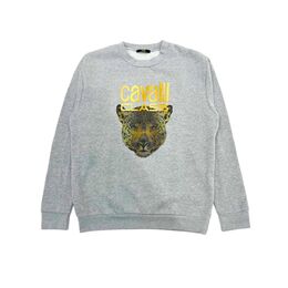 cavalli CLASS: Серый свитер 