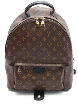 Louis Vuitton Pre-Owned: Коричневый рюкзак 