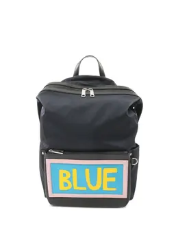 Fendi Pre-Owned: Голубой рюкзак 