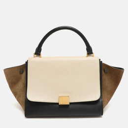 Celine: Многоцветная сумка 