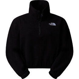 The North Face: Флисовый свитер  100 Glacier
