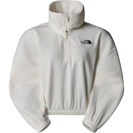 The North Face: Флисовый свитер  100 Glacier