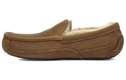 UGG: Кроссовки  Ascot