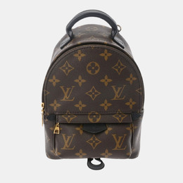 Louis Vuitton: Коричневый рюкзак 