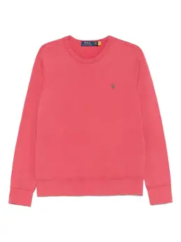 Polo Ralph Lauren: Хлопковый свитшот 
