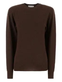 Stella McCartney: Коричневый свитер 