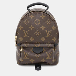 Louis Vuitton: Коричневый рюкзак 