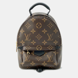 Louis Vuitton: Коричневый рюкзак 