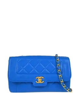CHANEL Pre-Owned: Голубая сумка 