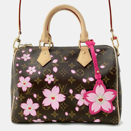 Louis Vuitton: Коричневая сумка  Speedy