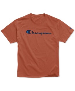 Champion: Футболка с надписями 