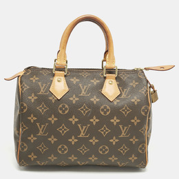 Louis Vuitton: Коричневая сумка  Speedy 25