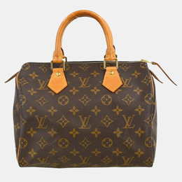 Louis Vuitton: Коричневая сумка  Speedy 25