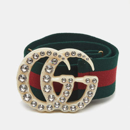 Gucci: Ремень  Web