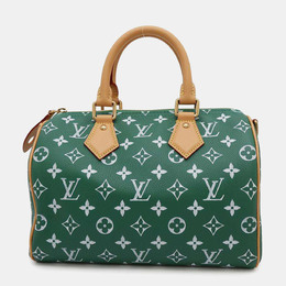 Louis Vuitton: Зелёная сумка  Speedy