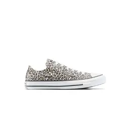 Converse: Кроссовки  Chuck Taylor All Star