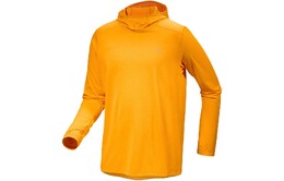 Arcteryx: Жёлтый свитшот 