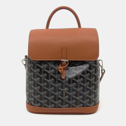 Goyard: Коричневый рюкзак 